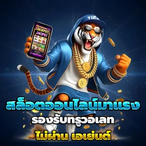 pg เครดิตฟรี 50 ยืนยันเบอร์ล่าสุด
